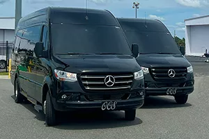 Jet Limousine to Walt Disney World Resorts